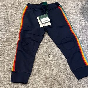 Little Green Radicals Navy Joggers with Colorful Stripes